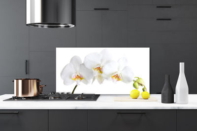 Kitchen Splashback Flowers floral white