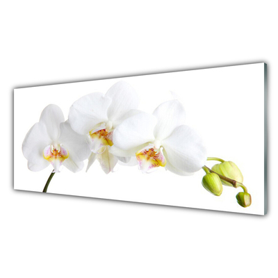 Kitchen Splashback Flowers floral white