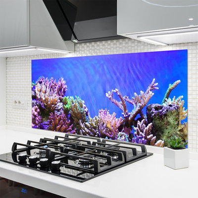 Kitchen Splashback Coral reef nature multi