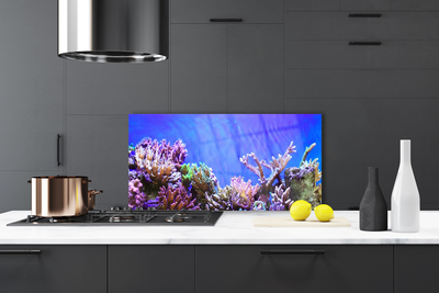 Kitchen Splashback Coral reef nature multi