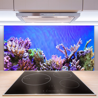 Kitchen Splashback Coral reef nature multi