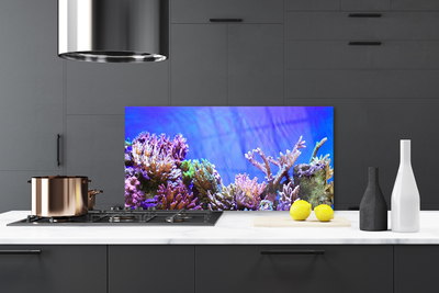 Kitchen Splashback Coral reef nature multi