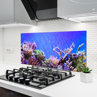 Kitchen Splashback Coral reef nature multi