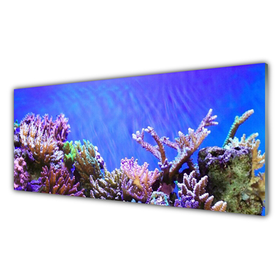 Kitchen Splashback Coral reef nature multi