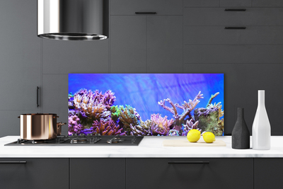 Kitchen Splashback Coral reef nature multi