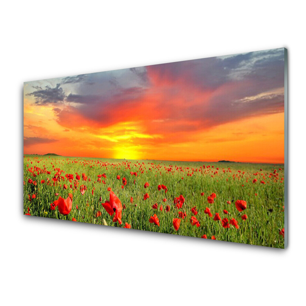 Kitchen Splashback Poppies sun nature red green yellow grey