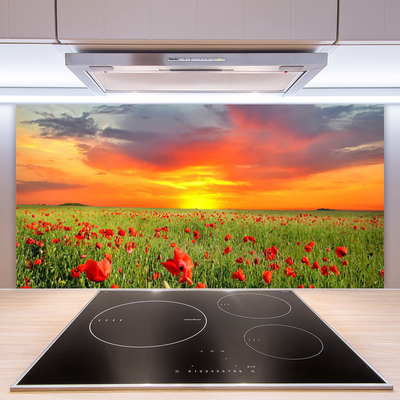 Kitchen Splashback Poppies sun nature red green yellow grey