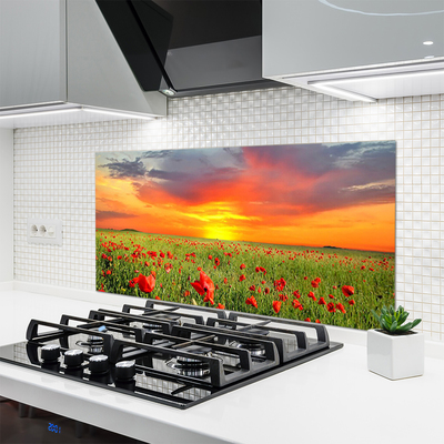 Kitchen Splashback Poppies sun nature red green yellow grey