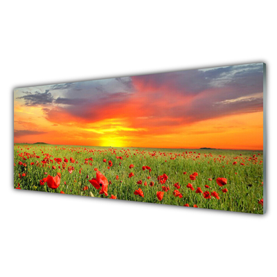 Kitchen Splashback Poppies sun nature red green yellow grey