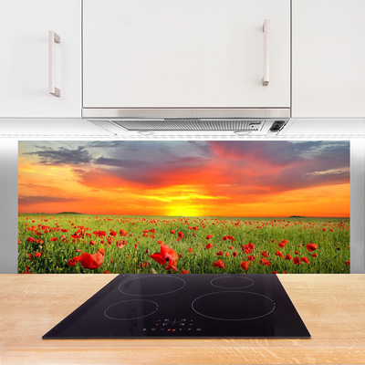 Kitchen Splashback Poppies sun nature red green yellow grey