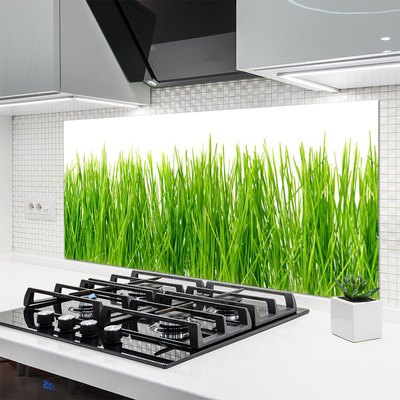 Kitchen Splashback Grass nature green