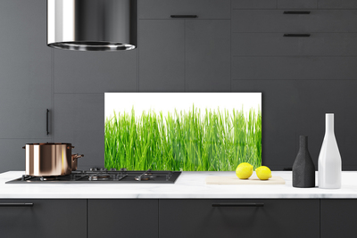 Kitchen Splashback Grass nature green