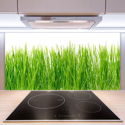 Kitchen Splashback Grass nature green