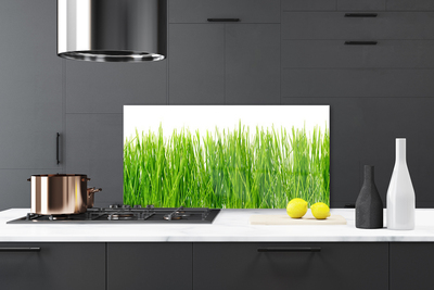 Kitchen Splashback Grass nature green