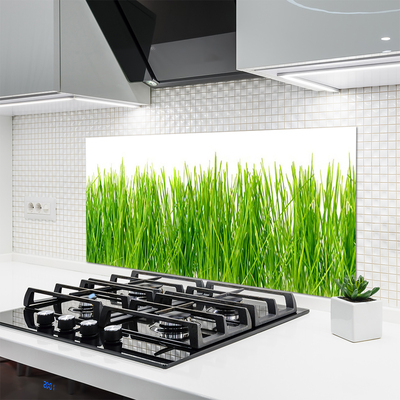 Kitchen Splashback Grass nature green