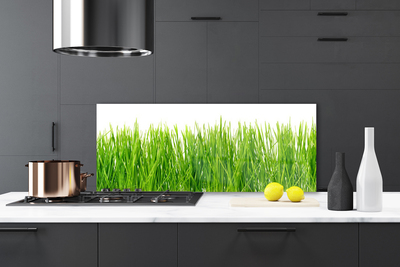 Kitchen Splashback Grass nature green