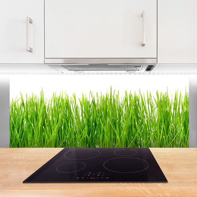 Kitchen Splashback Grass nature green