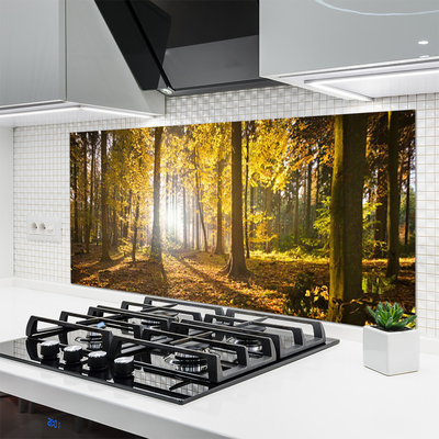 Kitchen Splashback Forest nature brown green