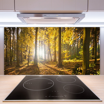 Kitchen Splashback Forest nature brown green