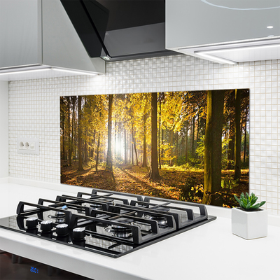 Kitchen Splashback Forest nature brown green