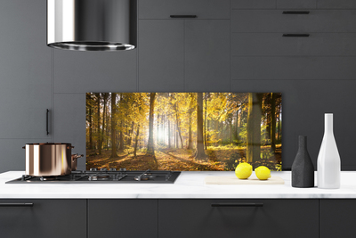 Kitchen Splashback Forest nature brown green