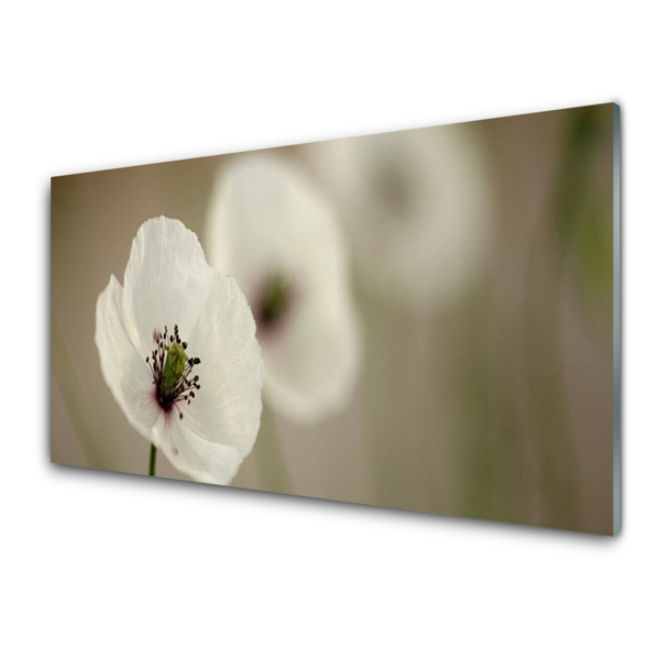 Kitchen Splashback Flower floral white