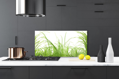 Kitchen Splashback Grass nature green