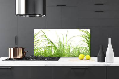 Kitchen Splashback Grass nature green