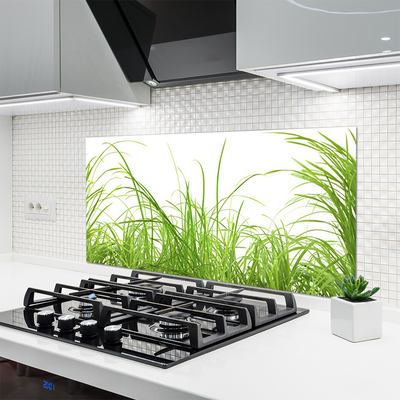 Kitchen Splashback Grass nature green