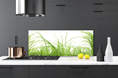 Kitchen Splashback Grass nature green