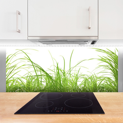 Kitchen Splashback Grass nature green