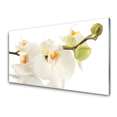 Kitchen Splashback Flowers floral white