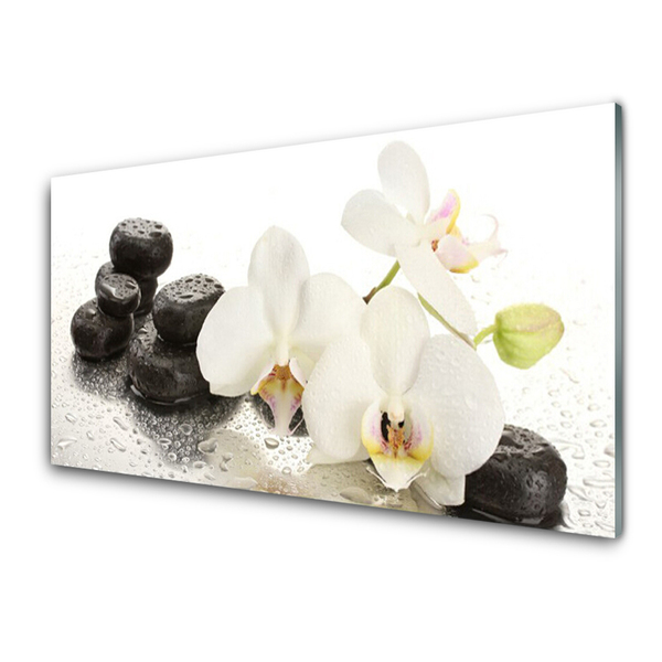 Kitchen Splashback Flower stones floral white black