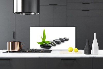 Kitchen Splashback Stones leaves art black green