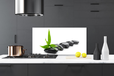 Kitchen Splashback Stones leaves art black green