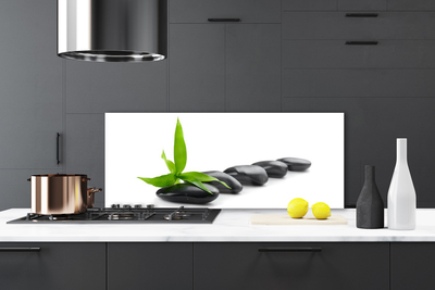 Kitchen Splashback Stones leaves art black green