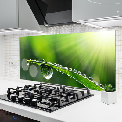 Kitchen Splashback Grass dew drops floral green