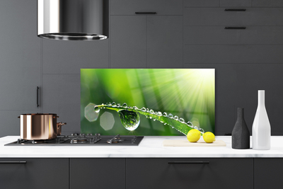 Kitchen Splashback Grass dew drops floral green