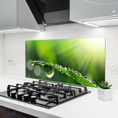 Kitchen Splashback Grass dew drops floral green