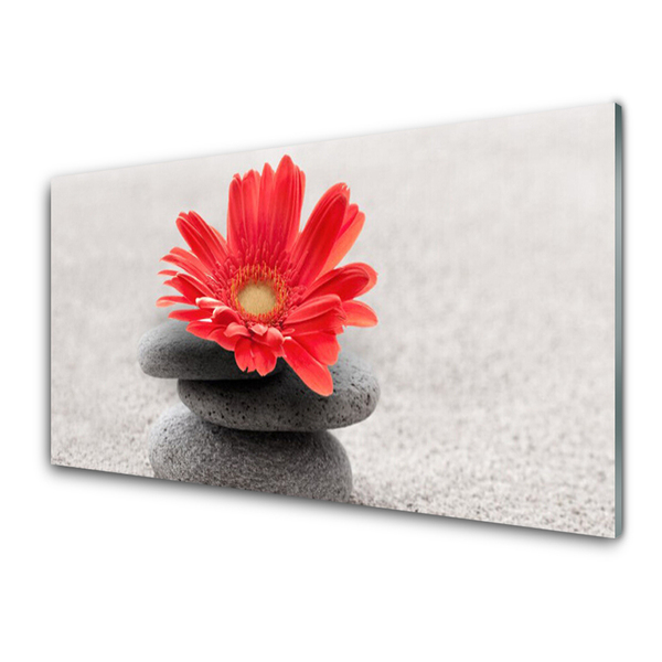 Kitchen Splashback Flower stones art orange grey