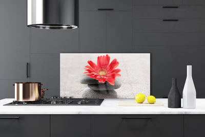 Kitchen Splashback Flower stones art orange grey