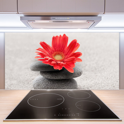 Kitchen Splashback Flower stones art orange grey