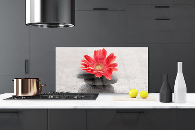 Kitchen Splashback Flower stones art orange grey