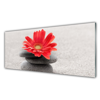 Kitchen Splashback Flower stones art orange grey