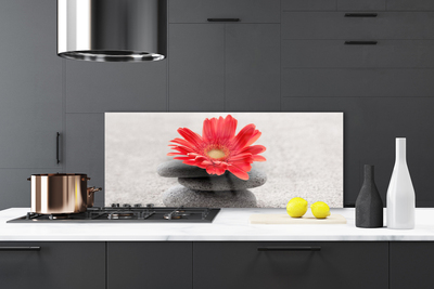 Kitchen Splashback Flower stones art orange grey