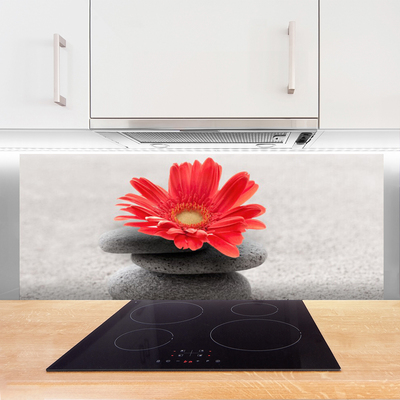 Kitchen Splashback Flower stones art orange grey