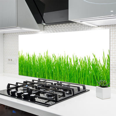 Kitchen Splashback Weed nature green