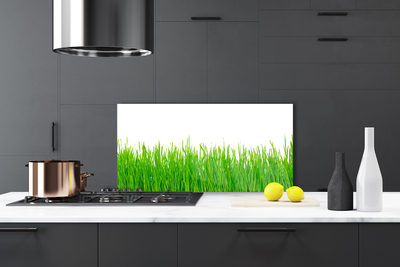 Kitchen Splashback Weed nature green