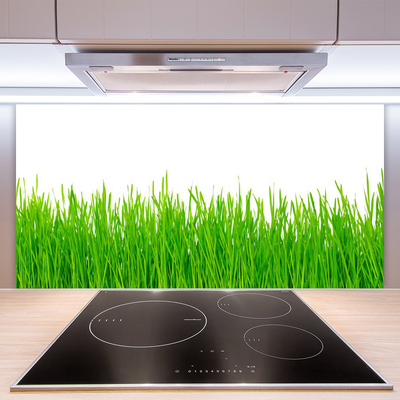 Kitchen Splashback Weed nature green