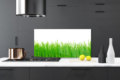 Kitchen Splashback Weed nature green